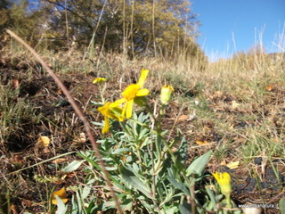 Monti_Sartorius - 01-11-2012 09-44-32.JPG